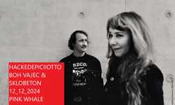HACKEDEPICCIOTTO