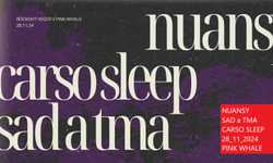 NUANSY