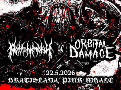 Fleshless / Rottenatomy / Orbital Damage - PINK WHALE