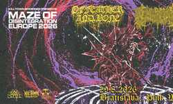 ⫘⫘⫘ Of Feather and Bone (usa)