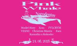 PINKWHALEOVINY - 3. NARODENINY PINK WHALE