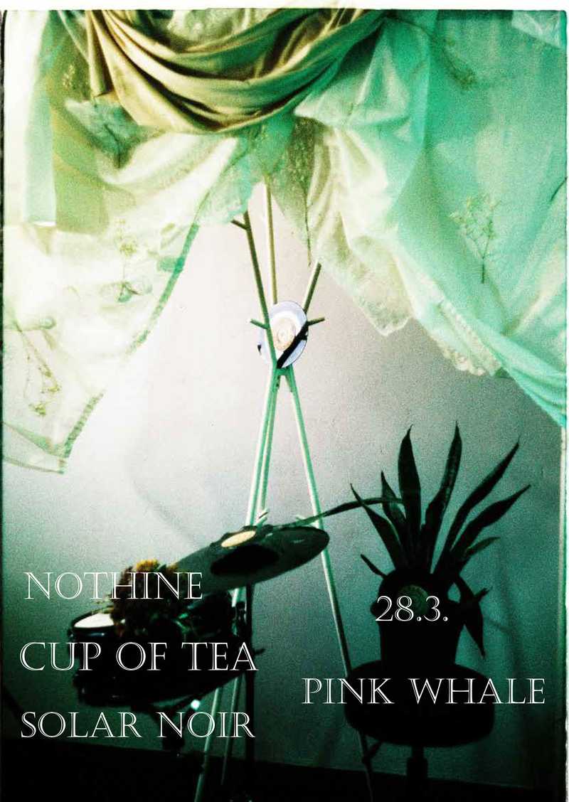 SOLAR NOIR (AT) / NOTHINE / CUP OF TEA