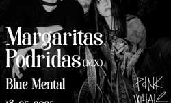 MARGARITAS PODRIDAS