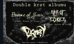 Headliner Plastery