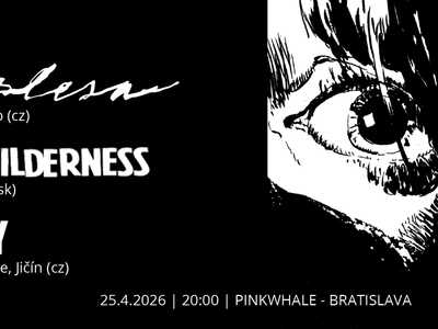 ESAZLESA / THE WILDERNESS / BLUDY