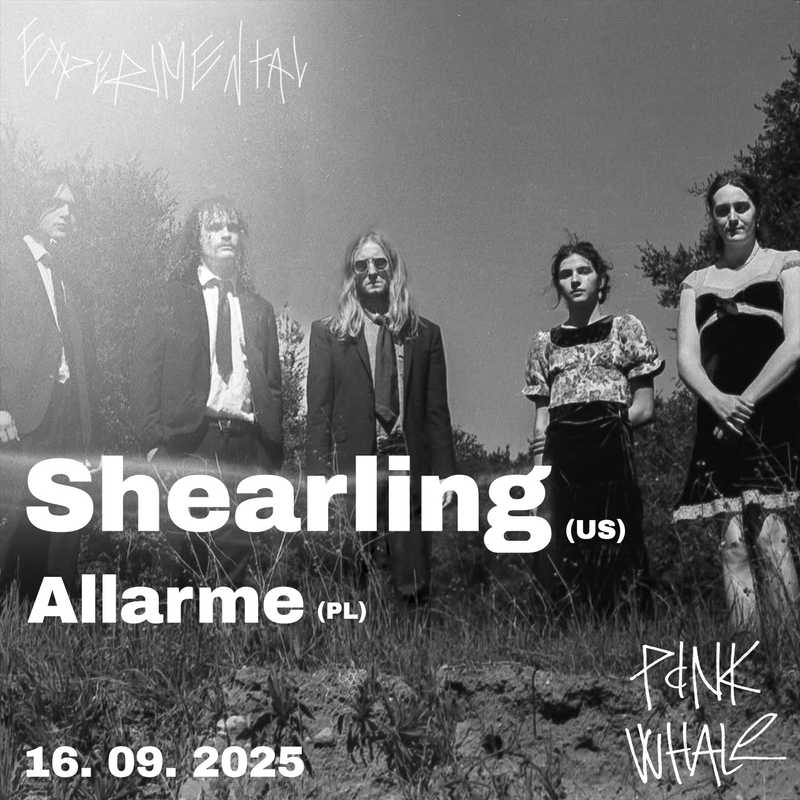 Shearling | Allarme
