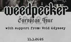 ⫘ ⫘⫘ Weedpecker (PL)