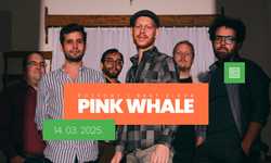 Gób é II PINK WHALE I Bratislava