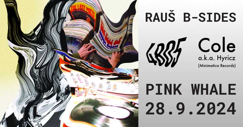 Rauš B-Sides: 4 8 0 5 + Cole a.k.a. Hyricz (Minimatica records)