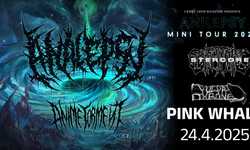 ANALEPSY (PT), ANIME TORMENT (CZ), STERCORE (SK) VULVATHRONE (SI) - Anilepsy Mini Tour