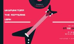 3 Kapely - 1 Bublina (koncert v Pink Whale)
