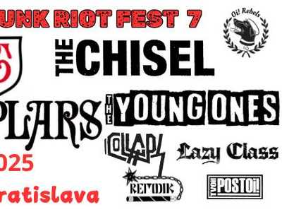 Streetpunk Riot fest 7