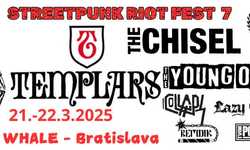 Streetpunk Riot fest 7