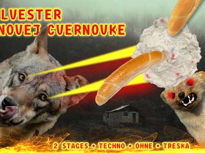 Silvester v Novej Cvernovke #nejdemnachatu3