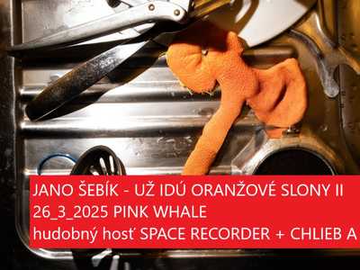 JANO ŠEBÍK - UŽ IDÚ ORANŽOVÉ SLONY