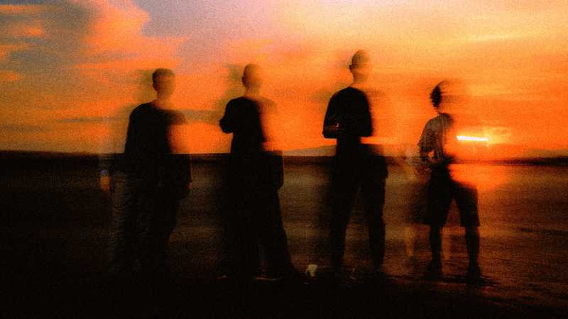 Naxatras (gr) / PINK WHALE