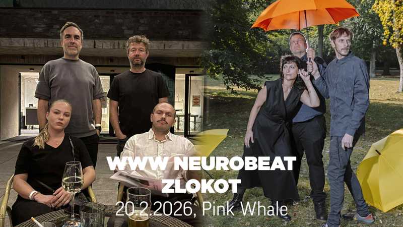 ✿ WWW Neurobeat ✿ Zlokot ✿ / PINK WHALE