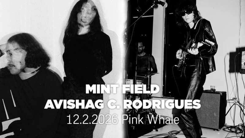 Mint Field (mex) + Avishag Cohen Rodrigues (usa) / PINK WHALE