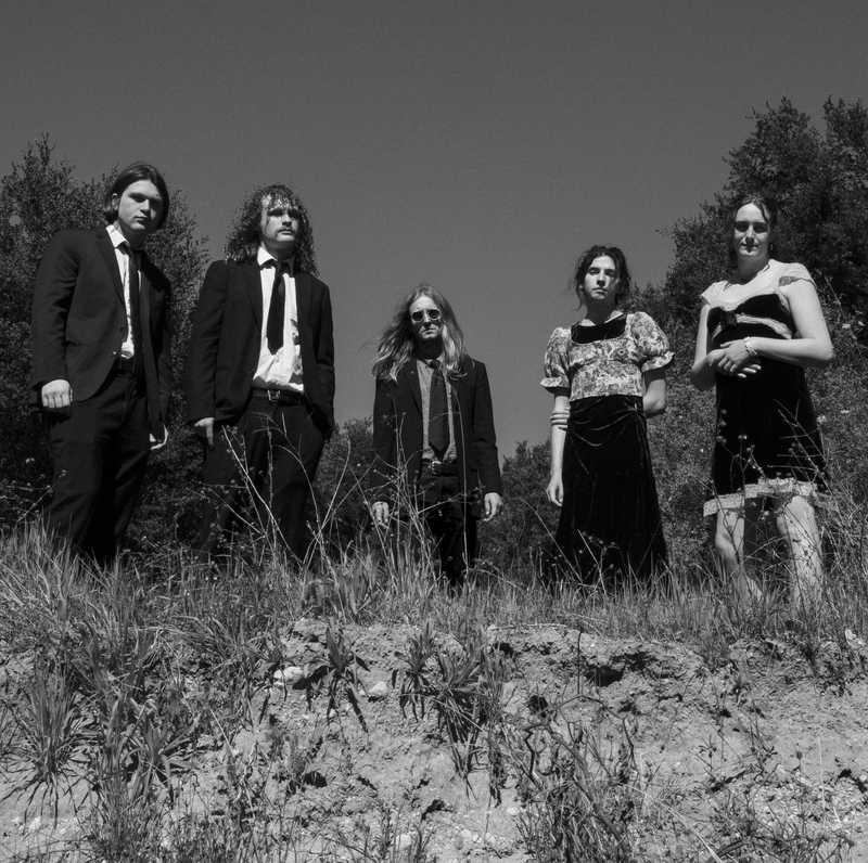 Shearling (usa) + support / PINK WHALE