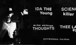 IDA THE YOUNG