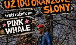 UŽ IDÚ ORANŽOVÉ SLONY vol. 3
