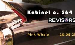 Kabinet č. 364 & Revisors live at Pink Whale