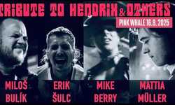 TRIBUTE TO HENDRIX AND OTHERS