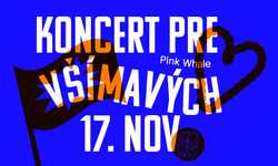 🔑 Koncert pre všímavých: Vladimir 518, Katarzia, Ventolin, The Wilderness a ďalší 🔑