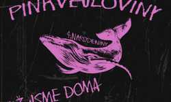 Pinkvejloviny - 4. narodeniny Pink Whale