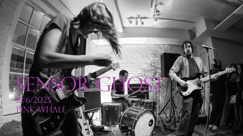 SENSOR GHOST + CANI DEI PORTICI