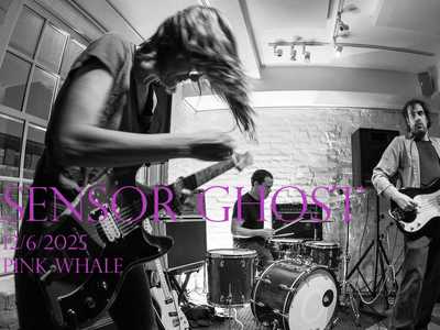 SENSOR GHOST + CANI DEI PORTICI