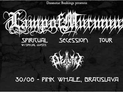 ⫘⫘⫘ Lamp of Murmuur (usa) + Outlaw  / PINK WHALE ⫘⫘⫘