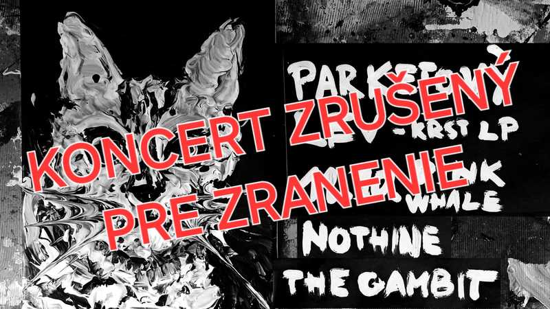 Parketový Lev - Krst zrušený/bude náhradný termín