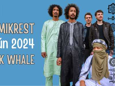 TAMIKREST : Danube Music Day