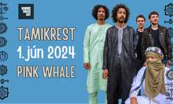 TAMIKREST : Danube Music Day